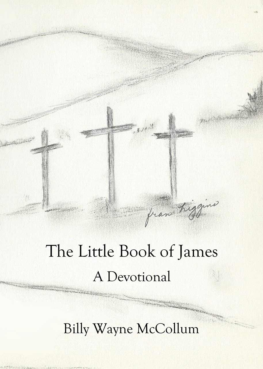 little book of james devotional book cover